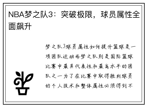 NBA梦之队3：突破极限，球员属性全面飙升