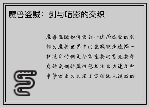 魔兽盗贼：剑与暗影的交织
